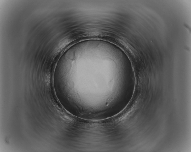 X0000091590778200708271242