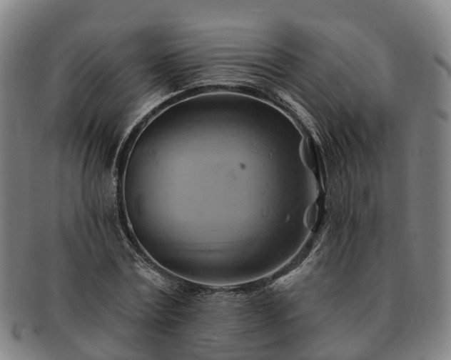 X0000091590779200708271242