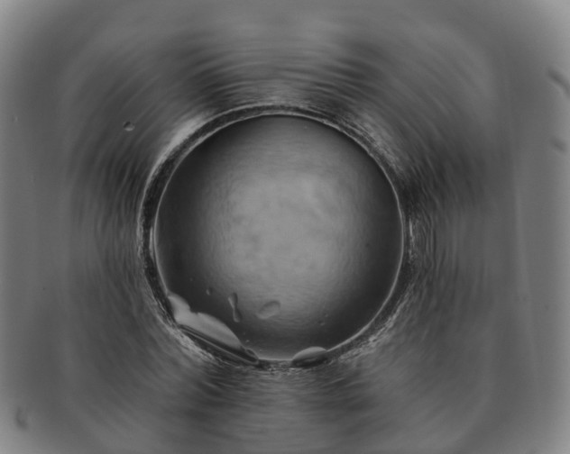 X0000091590780200708271242