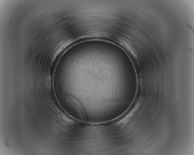 X0000091590781200708271242
