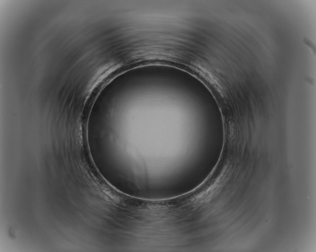 X0000091590782200708271242