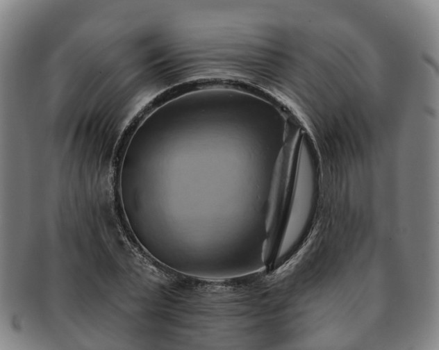 X0000091590783200708271242