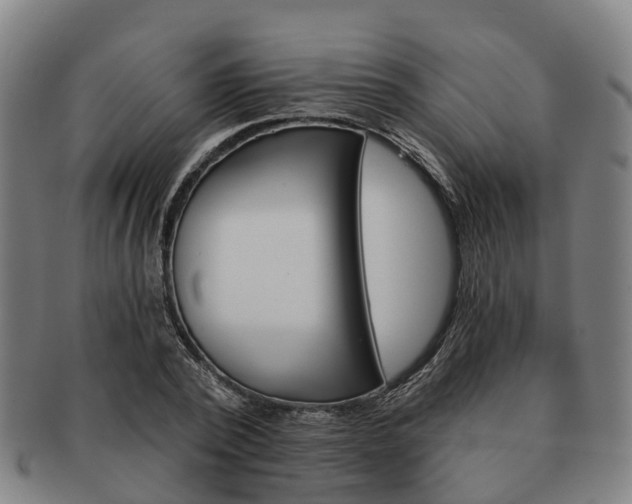 X0000091590784200708271242