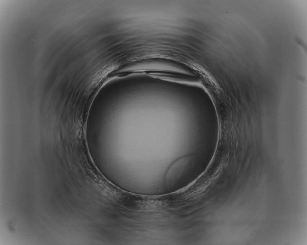 X0000091590785200708271242