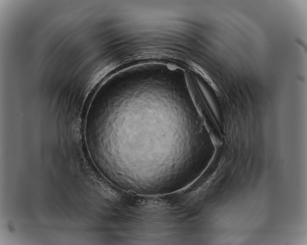 X0000091590786200708271242