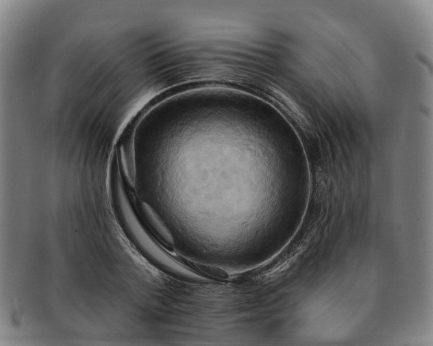X0000091590788200708271242