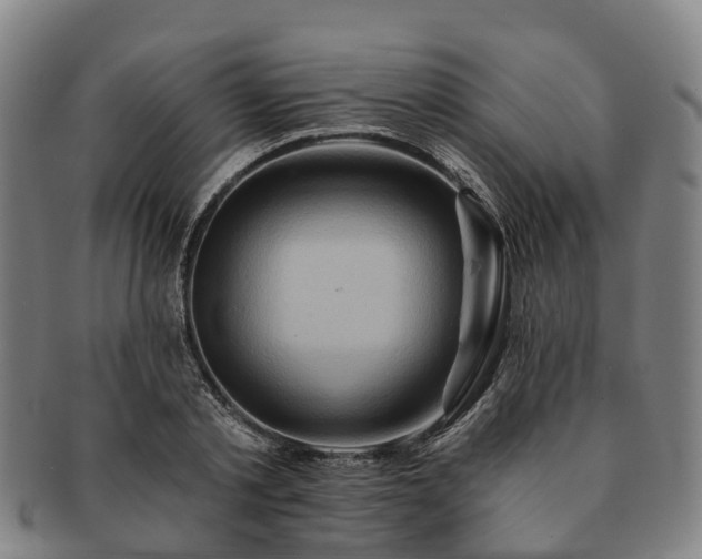 X0000091590789200708271242