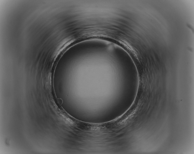 X0000091590790200708271242