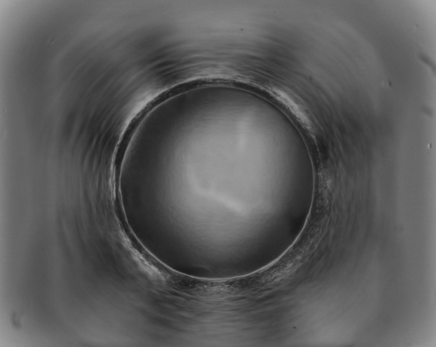 X0000091590791200708271242