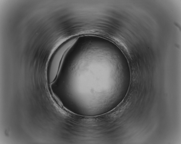 X0000091590792200708271242