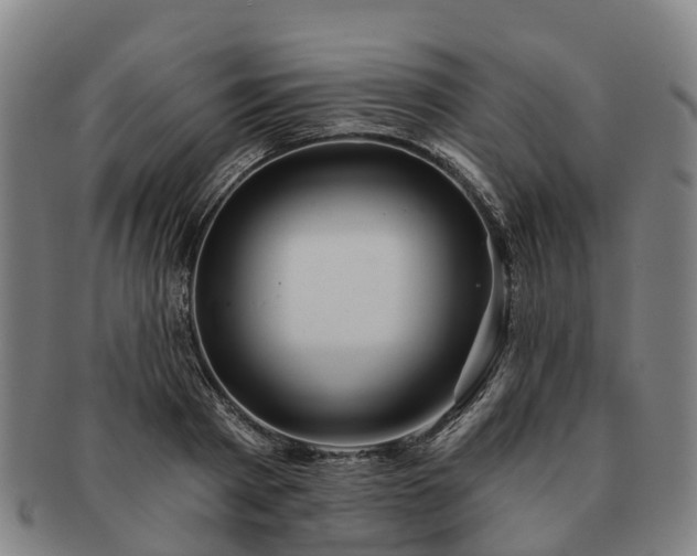 X0000091590793200708271242