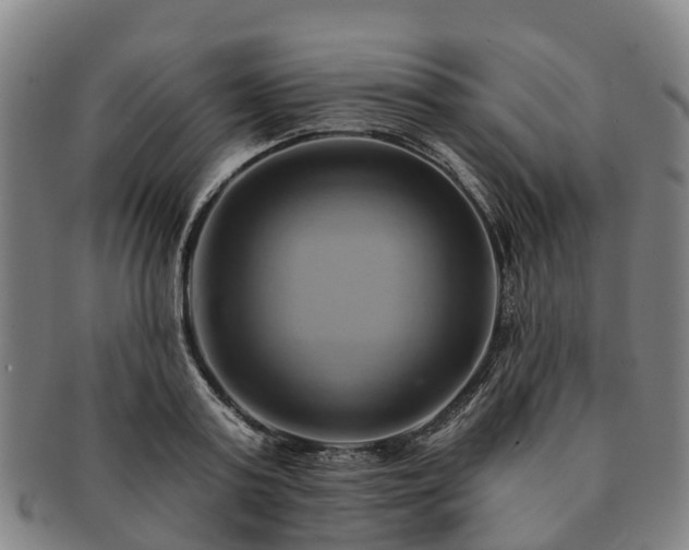 X0000091590795200708271242