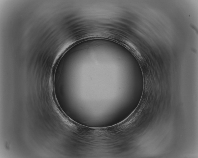 X0000091590796200708271242
