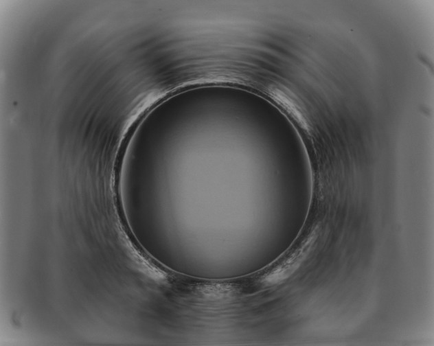 X0000091590797200708271242