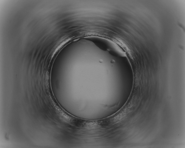 X0000091590798200708271242