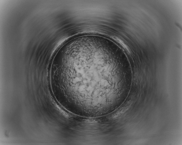 X0000091590799200708271242