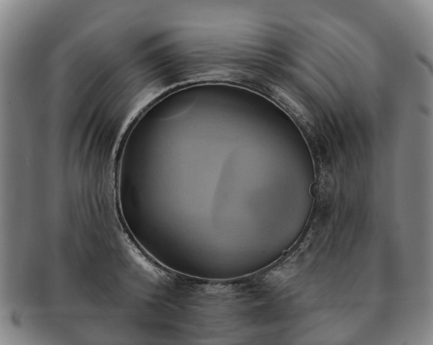 X0000091590800200708271242