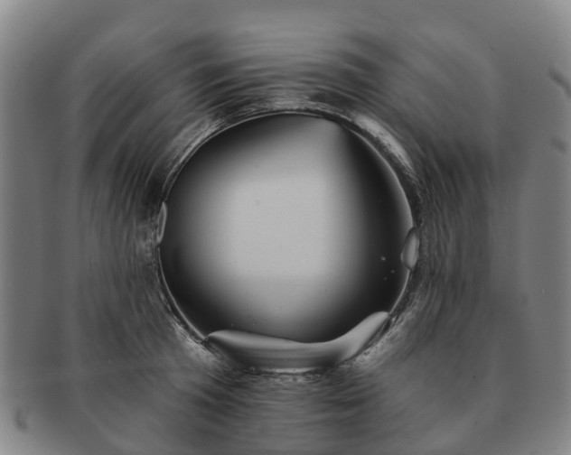 X0000091590801200708271242