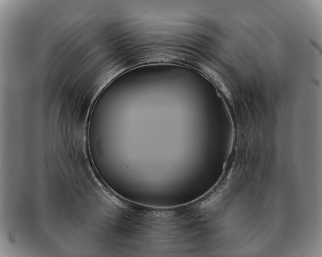 X0000091590802200708271242