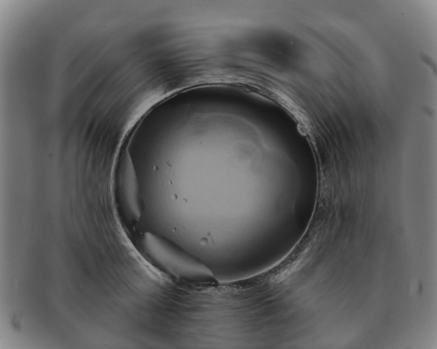 X0000091590803200708271242