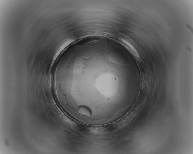 X0000091590804200708271242