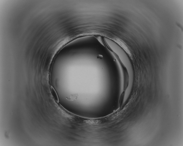 X0000091590805200708271242