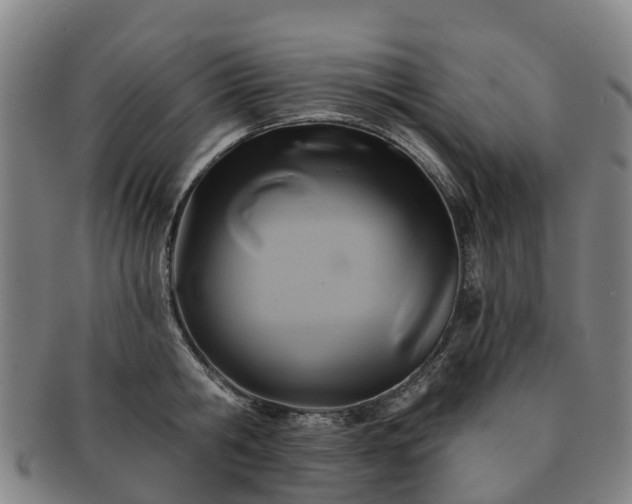 X0000091590806200708271242