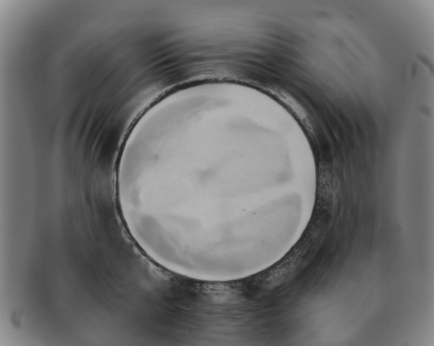 X0000091590807200708271242