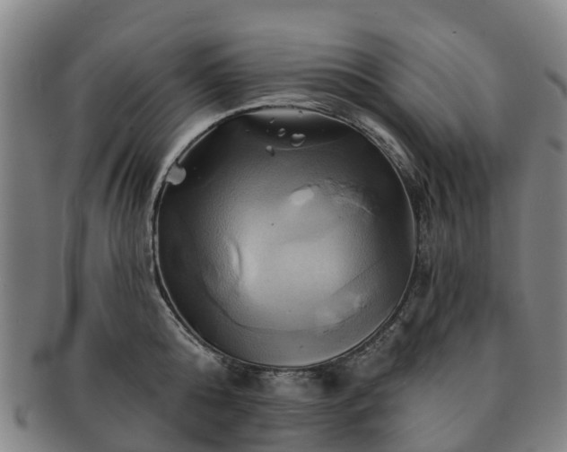 X0000091590808200708271242