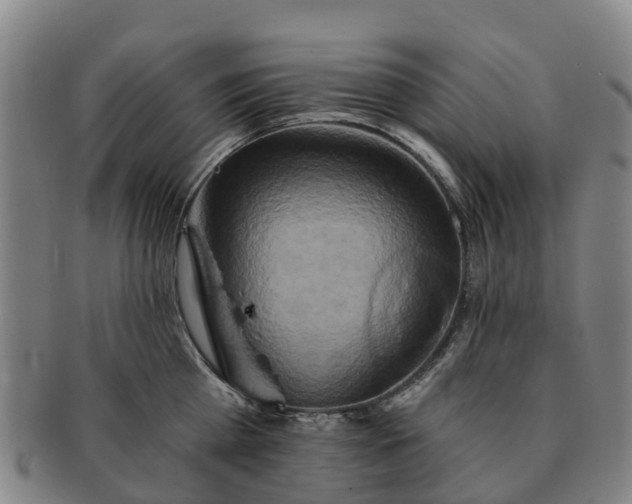 X0000091590809200708271242