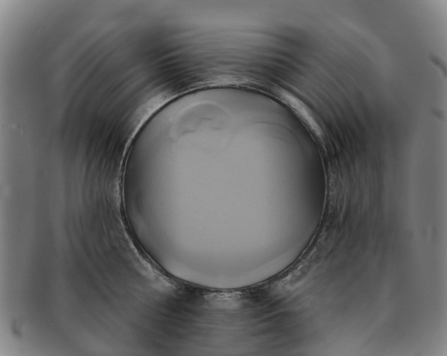 X0000091590810200708271242