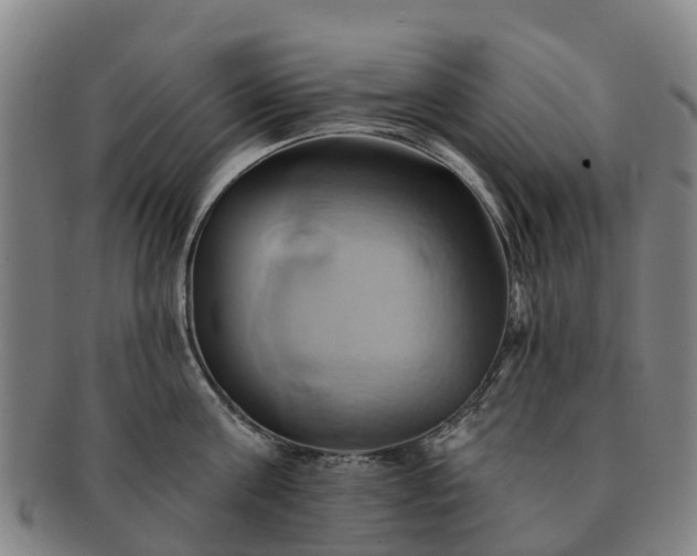 X0000091590811200708271242