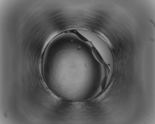X0000091590812200708271242