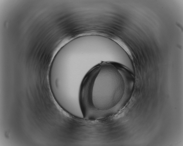 X0000091590813200708271242
