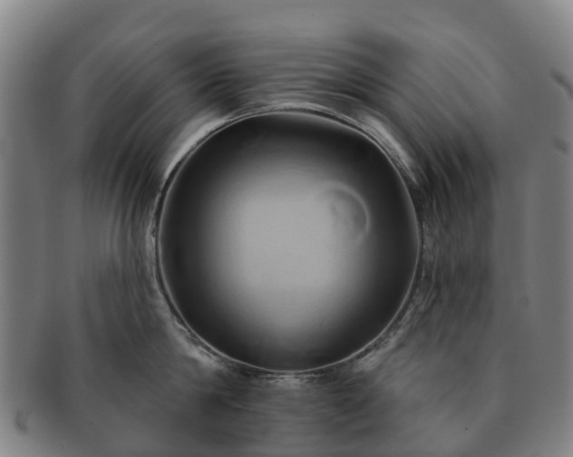 X0000091590814200708271242