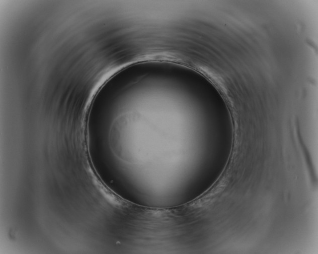 X0000091590816200708271242