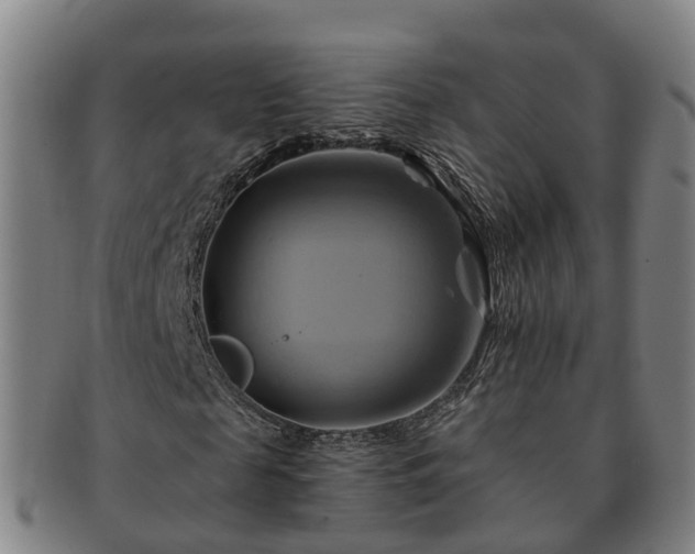 X0000091590817200708271241