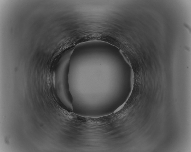 X0000091590818200708271241