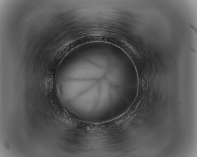 X0000091590821200708271241