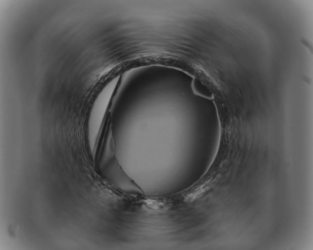 X0000091590822200708271241