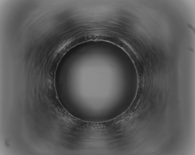 X0000091590823200708271241