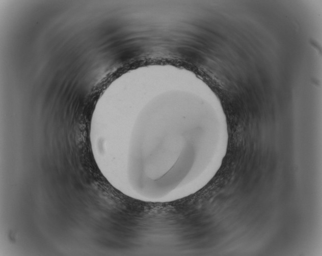 X0000091590824200708271241