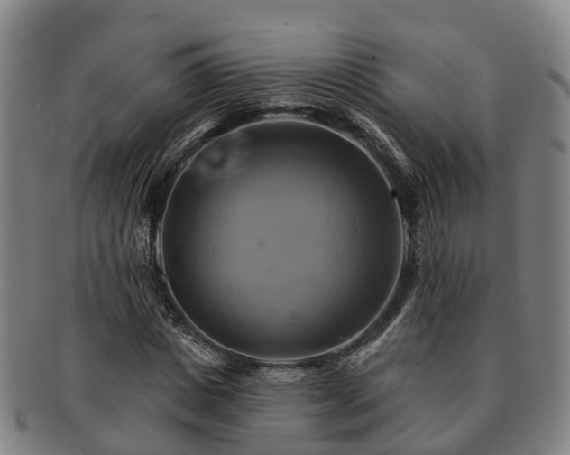 X0000091590825200708271241