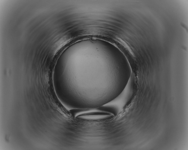 X0000091590826200708271241