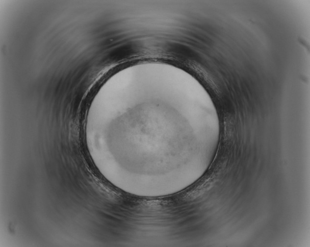 X0000091590828200708271241