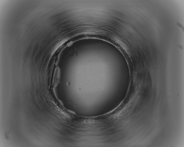 X0000091590829200708271241