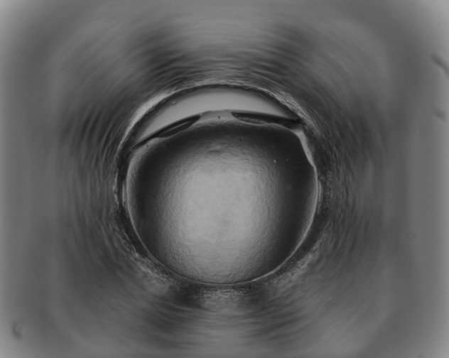 X0000091590830200708271241