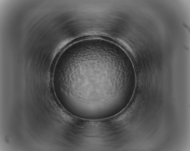 X0000091590831200708271241