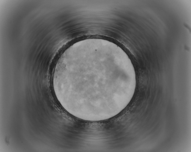 X0000091590832200708271241