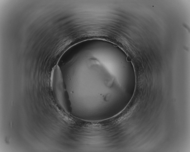 X0000091590833200708271241